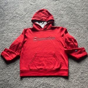 Big boys champion hoodies